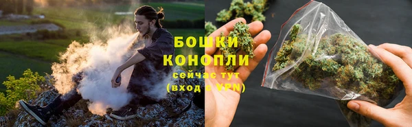 ГАЛЛЮЦИНОГЕННЫЕ ГРИБЫ Алексин