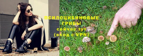 ГАЛЛЮЦИНОГЕННЫЕ ГРИБЫ Алексин