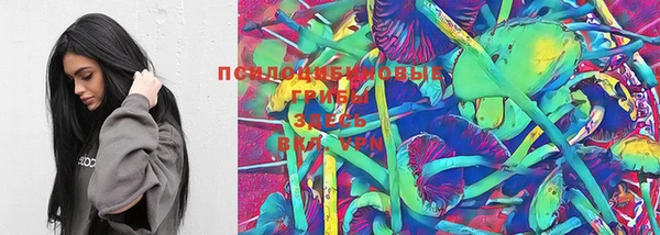 ПСИЛОЦИБИНОВЫЕ ГРИБЫ Алексеевка