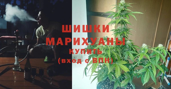 ALPHA-PVP Остров