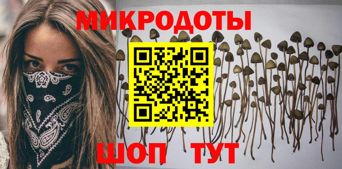 Псилоцибиновые грибы Cubensis  Вход с VPN  Ступино 